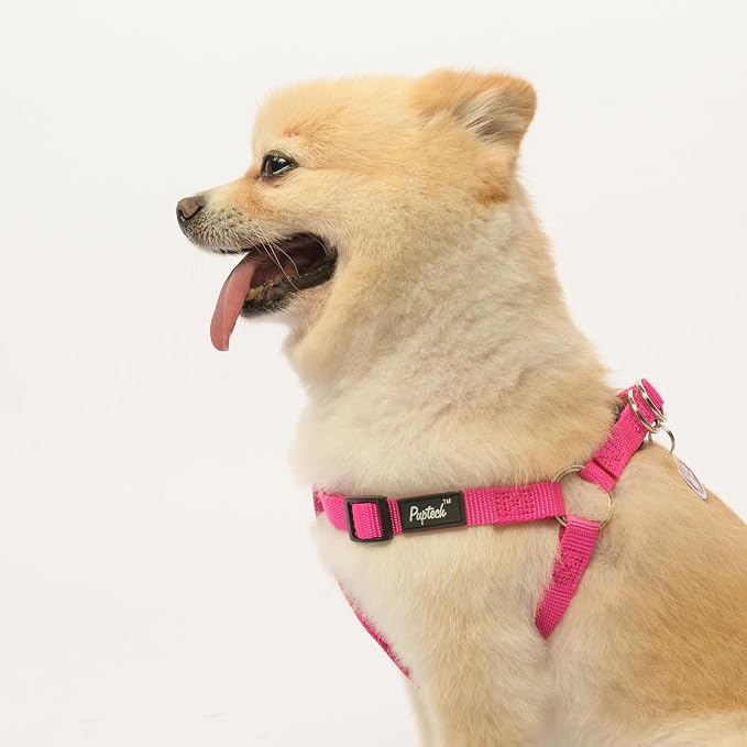 PUPTECK No Pull Dog Harness Soft Adjustable Basic Nylon Step in Puppy Vest - Image 5