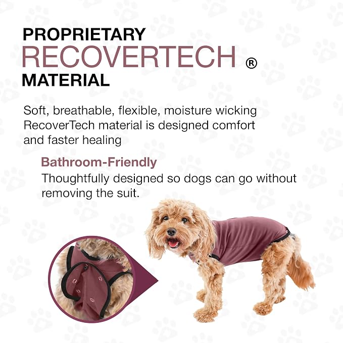 BellyGuard Dog Surgery Recovery Suit, Dog Onesie - Image 6
