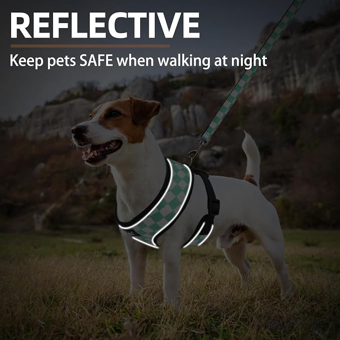 PUPTECK Soft Mesh Dog Harness and Leash Set Pet Puppy Cat Comfort Padded Vest - Image 6