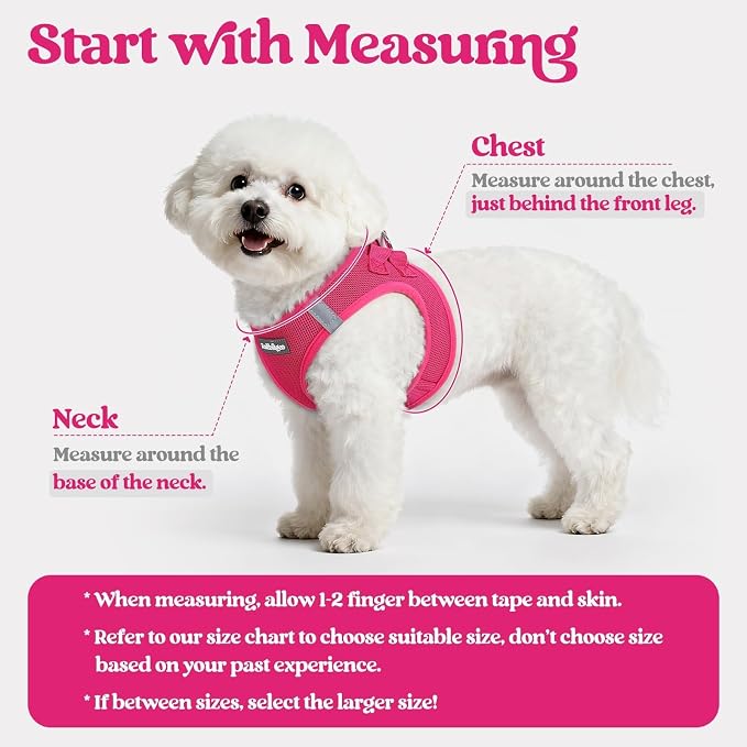 rabbitgoo Dog Harness Small Sized and Leash Set, Step in Soft Light Puppy Vest - Image 2