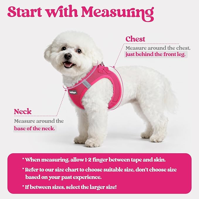 rabbitgoo Dog Harness Small Sized and Leash Set, Step in Soft Light Puppy Vest - Image 2