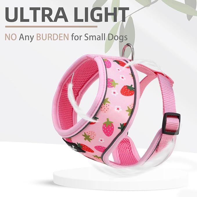PUPTECK Soft Mesh Dog Harness and Leash Set Pet Puppy Cat Comfort Padded Vest - Image 5