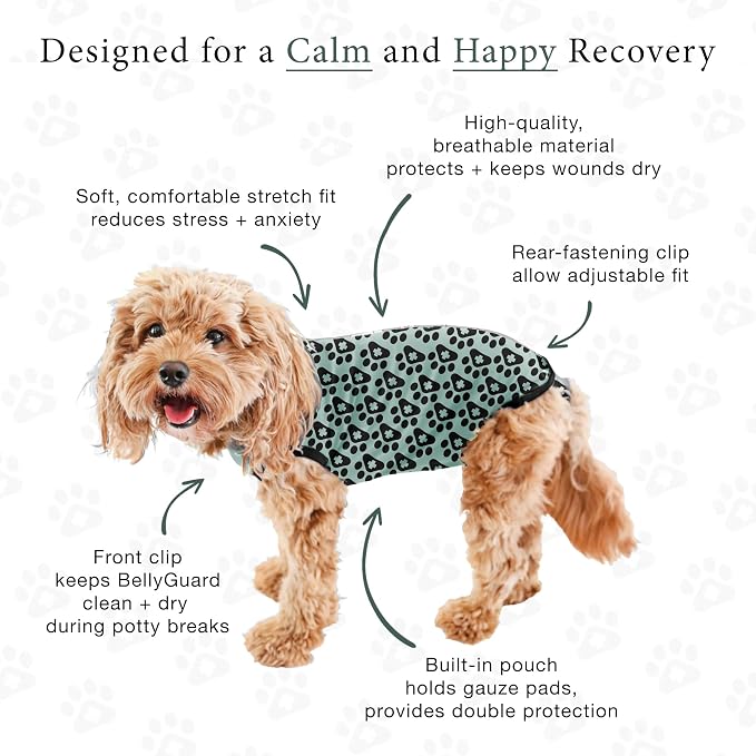 BellyGuard Dog Surgery Recovery Suit, Dog Onesie - Image 5
