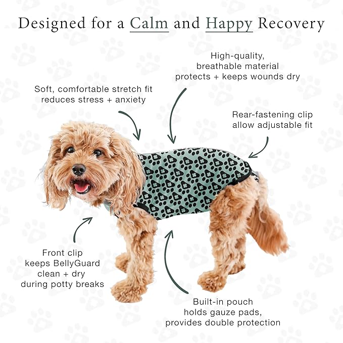 BellyGuard Dog Surgery Recovery Suit, Dog Onesie - Image 5