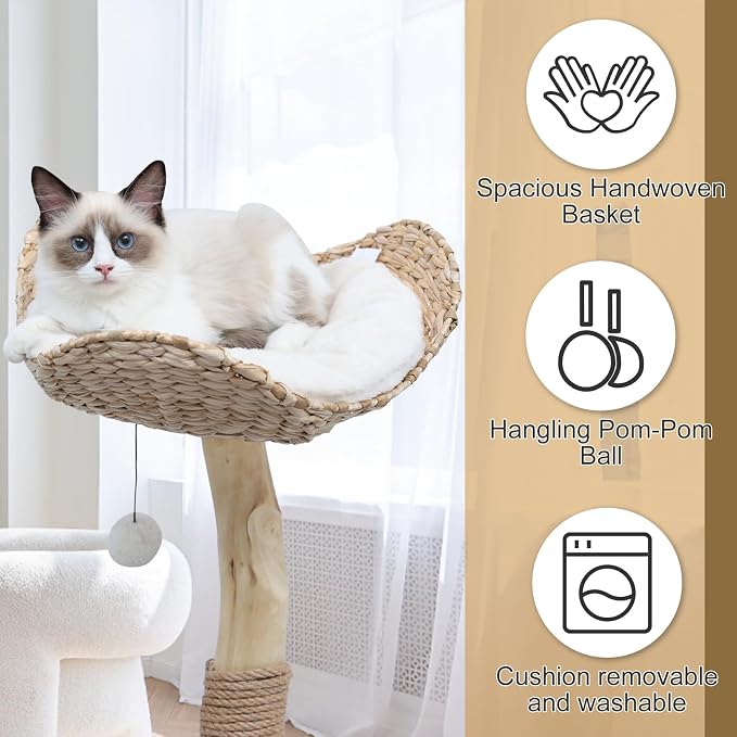 Cat Tree Tower for Indoor Cats, Modern Real Wood Cat Condo - Image 4