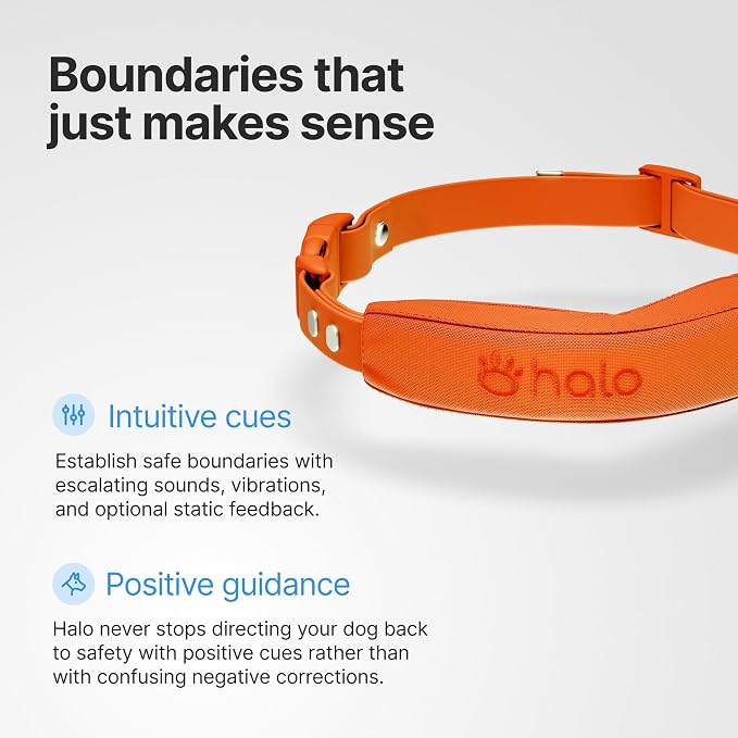 Halo Collar 5 Wireless Dog Fence & GPS Dog Collar, Keep Your Dog Safely - Image 5
