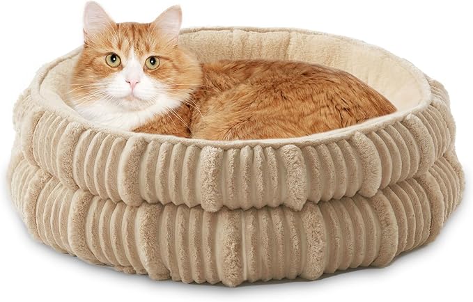 Cat Beds for Indoor Cats, Kitten Bed, Dog Bed for Small Dogs Breeds, Puppy by WINDRACING