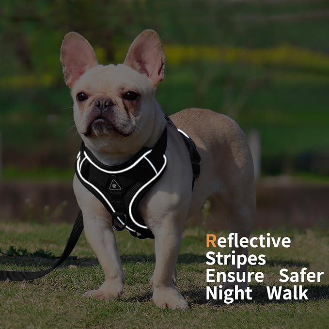 No Pull Dog Harness with Leash Set - Image 5