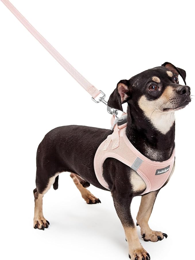 rabbitgoo Dog Harness Small Sized and Leash Set, Step in Soft Light Puppy Vest by rabbitgoo