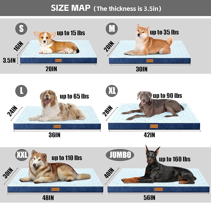 Patas Lague Orthopedic XL Dog Bed Large Sized Dog 42''X28'', Waterproof Soft - Image 5