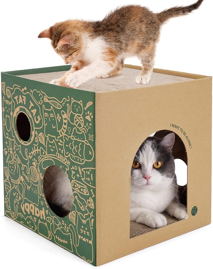 Cardboard Cat House with 2 Story Scratch Pads by ARGOPET