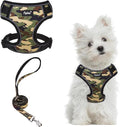 PUPTECK Small Dog Harness and Leash Set, No Pull Adjustable Puppy Cat Harness by PUPTECK