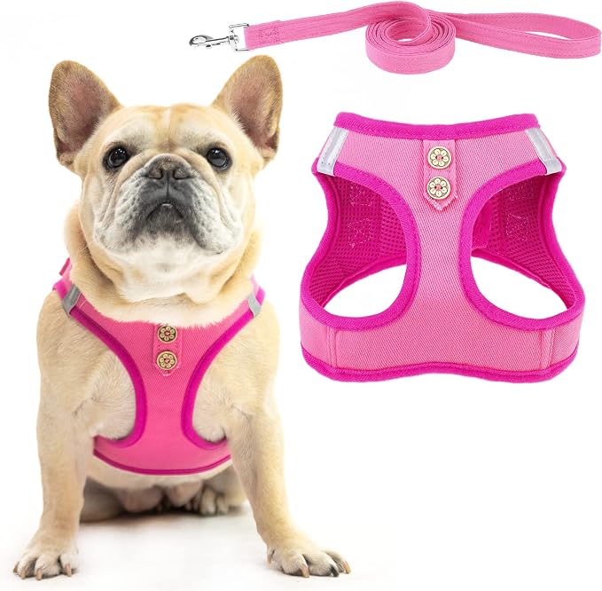 PUPTECK Dog Harness and Leash Set by PUPTECK