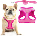 PUPTECK Dog Harness and Leash Set by PUPTECK