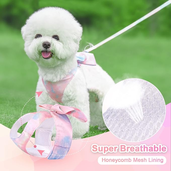 PETCARE Cute Bow Tie Dog Harness and Leash Set Elegant Rainbow Gradient Puppy - Image 2