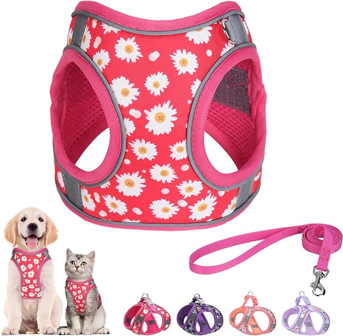 Step in Dog Harness and Leash Set, Flower Adjustable Easy Walk Puppy Harnesses by Flymind