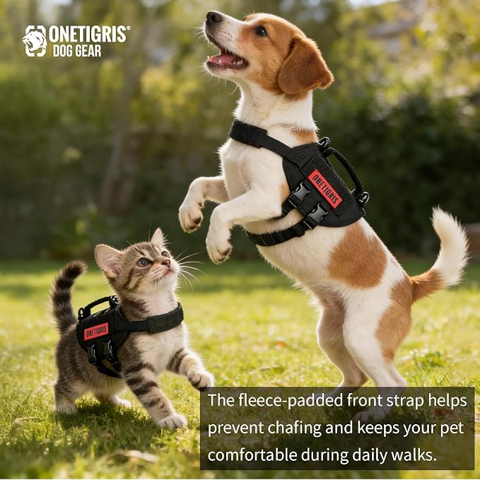 Puppy Harness, Small Dog Harness - Image 3