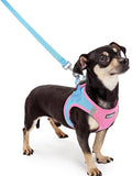 rabbitgoo Dog Harness Small Sized and Leash Set, Step in Soft Light Puppy Vest by rabbitgoo