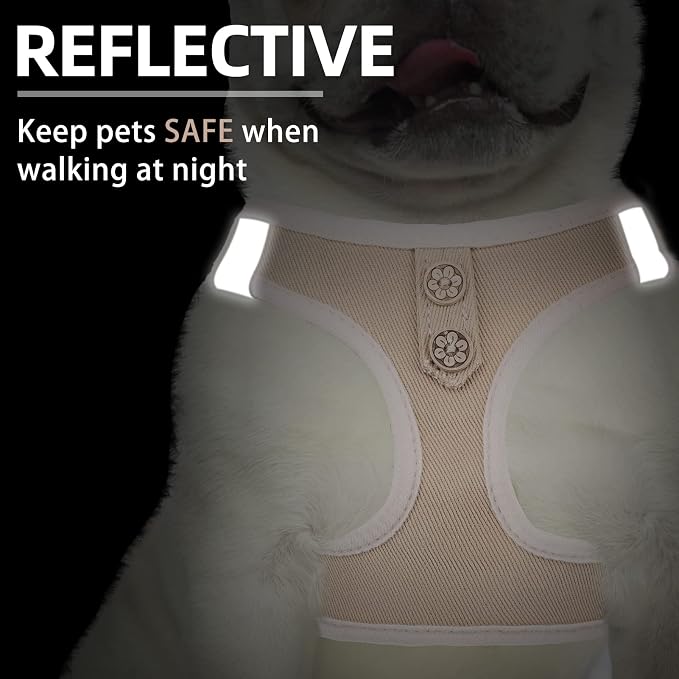 PUPTECK Dog Harness and Leash Set - Image 5