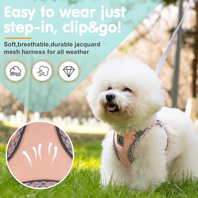 Dog Harness & Leash Set - Image 2