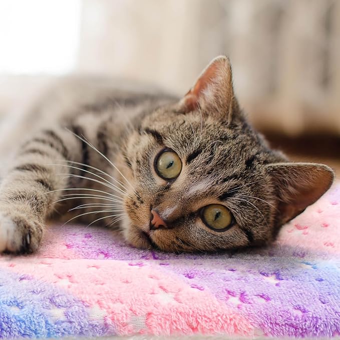 2 Pack Cat Blanket for Indoor Cat, Warm Calming Kitten & Puppy Beds for Anxiety - Image 6