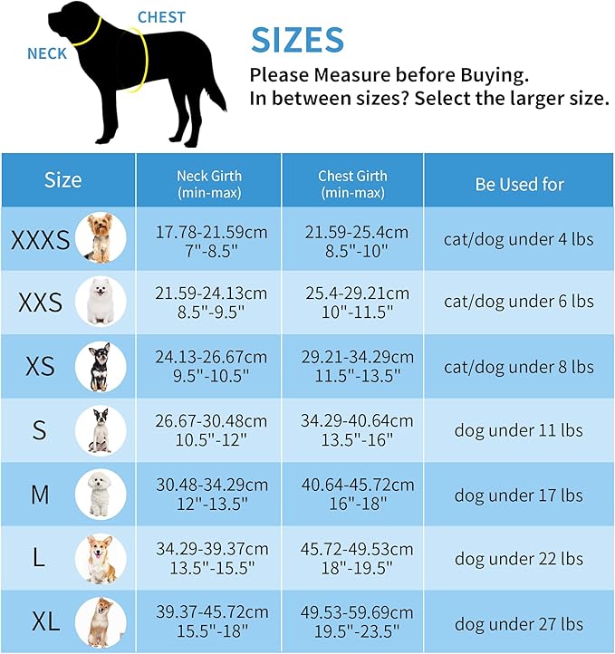 AIITLE No Pull Dog Harness and Leash Set, Step in Adjustable Dog Harness - Image 4