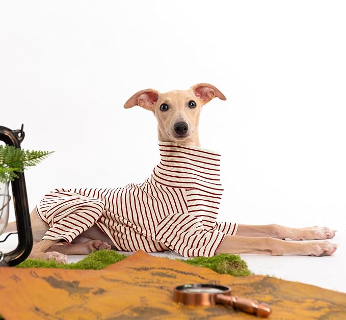 Dog Sweaters for Small Dogs Girls Boys, Striped Pet Sweaters for Fall Winter - Image 4
