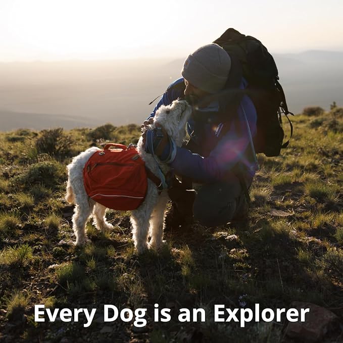 Ruffwear, Crag Dog Collar, Stylish Adventure Collar - Image 9