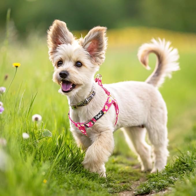PUPTECK No Pull Dog Harness Soft Adjustable Basic Nylon Step in Puppy Vest - Image 5