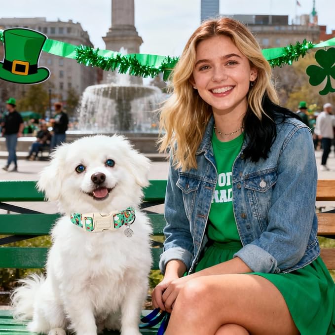 DOGWONG St. Patrick's Day Dog Collar, Lucky Clover Shamrock Green Dog Collar - Image 4