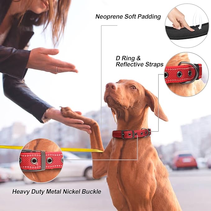 PetiFine Dog Collar with Metal Buckle, Heavy Duty Dog Collar with Soft Neoprene - Image 2
