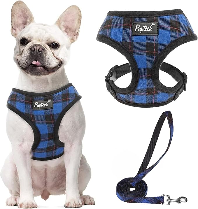 PUPTECK Soft Mesh Dog Harness and Leash Set Pet Puppy Cat Comfort Padded Vest by PUPTECK