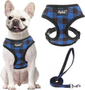 PUPTECK Soft Mesh Dog Harness and Leash Set Pet Puppy Cat Comfort Padded Vest by PUPTECK