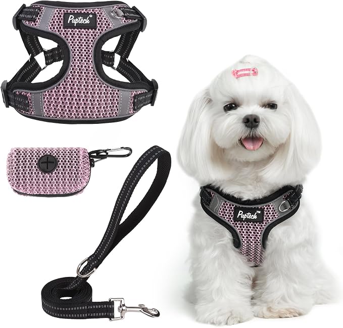 PUPTECK Dog Harness and Leash Set Small Sized, Step in No Pull Adjustable Puppy by PUPTECK