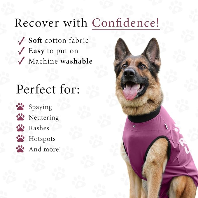 BellyGuard Dog Surgery Recovery Suit, Dog Onesie - Image 3