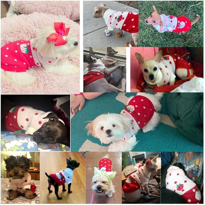 CHBORCHICEN Pet Dog Sweaters Classic Knitwear Turtleneck Winter Warm Puppy - Image 6