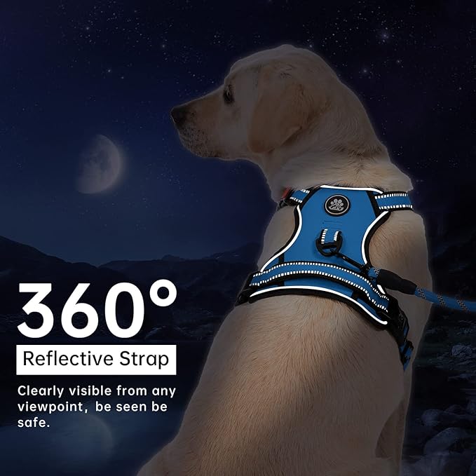 IVY&LANE No Pull Dog Harness for Small Dogs, Dog Vest Harness - Image 6