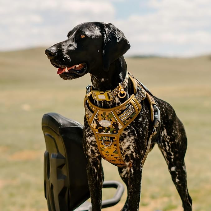 AUROTH Tactical Dog Harness for Small Medium Dogs No Pull Adjustable Pet - Image 6