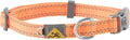 Browning Classic Preformance Webbing Pet Collar, Fully Adjustable, Available in by BrowningLifestyle