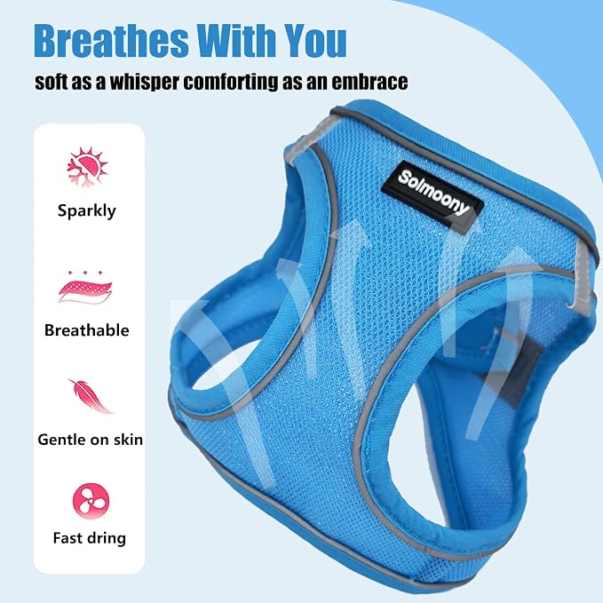 Solmoony Sparkly XXXS Dog Harness and Leash Set, Step in Soft Light Puppy Vest - Image 4