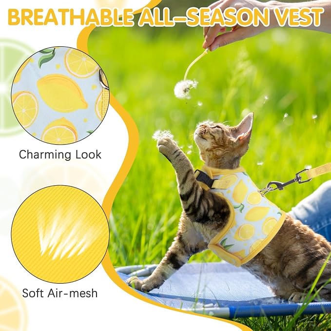 BINGPET Cat Harness and Leash Set Escape Proof - Image 2