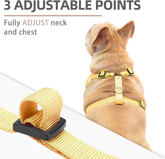 PUPTECK Thanksgiving Fall Small Dog Harness and Leash Set, No Pull Adjustable - Image 2
