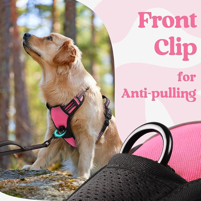 rabbitgoo Dog Harness Medium Sized, No Pull Pet Harness - Image 7