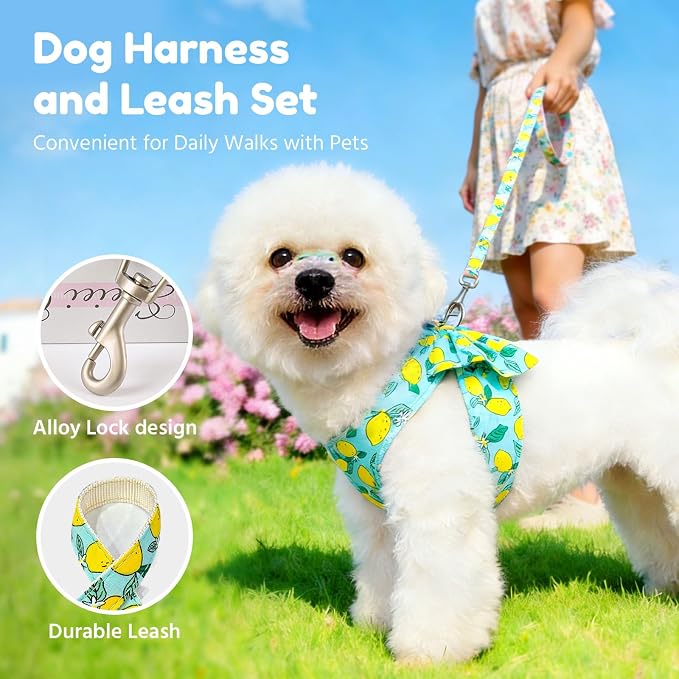 BAEJMJK Dog Harness and Leash Set - Image 4