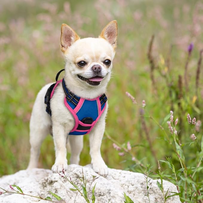 rabbitgoo Dog Harness No Pull - Image 7
