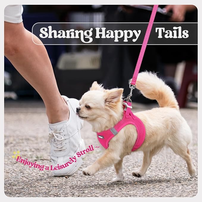 rabbitgoo Dog Harness Small Sized and Leash Set, Step in Soft Light Puppy Vest - Image 9