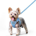rabbitgoo Dog Harness Small Sized and Leash Set, Step in Soft Light Puppy Vest by rabbitgoo