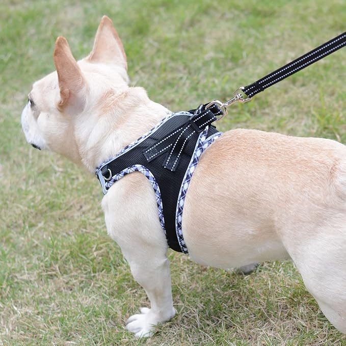 Mercano Soft Mesh Dog Harness and Leash Set, No-Chock Step-in Reflective - Image 5