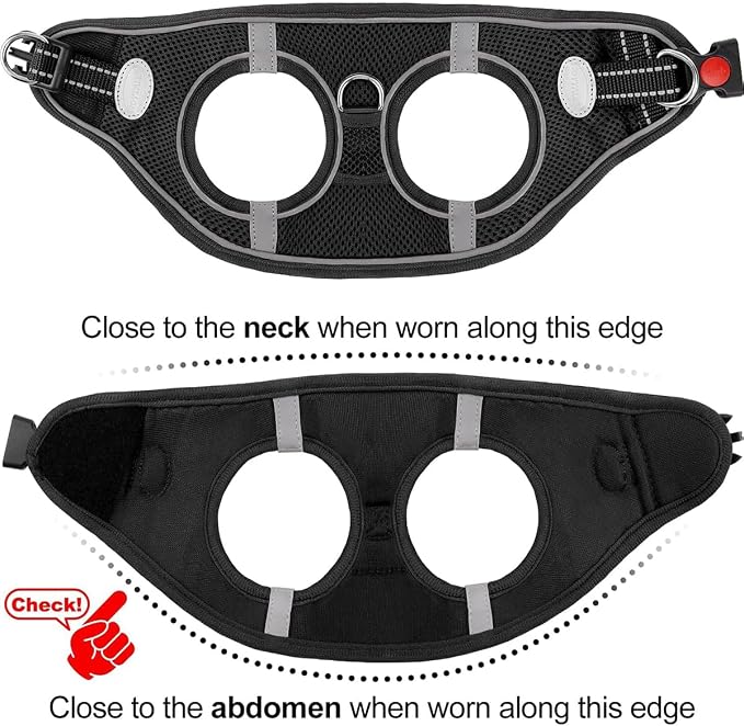 Joytale Small Dog Harness, Breathable Mesh Step-in Vest, Reflective Soft Padded - Image 6