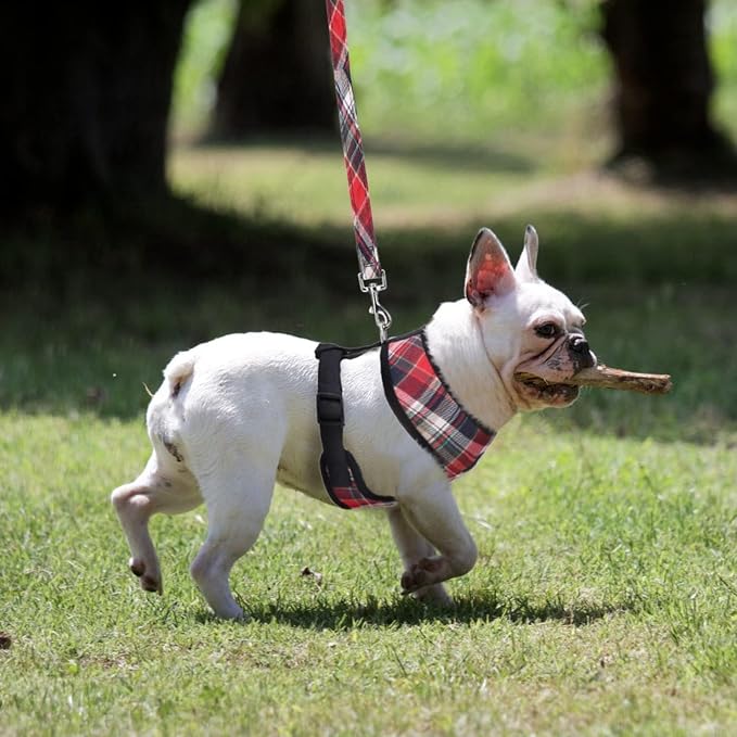PUPTECK Soft Mesh Dog Harness and Leash Set Pet Puppy Cat Comfort Padded Vest - Image 6